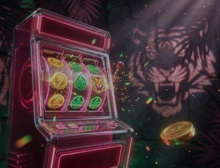 Wild Fortune Casino